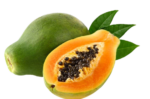 Papaya Png