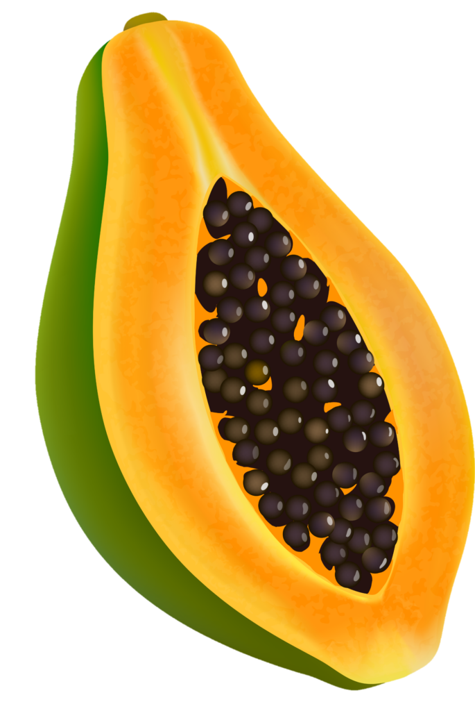Half Papaya Png Vector