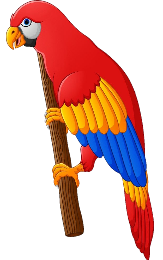 Transparent Parrot Png Clipart