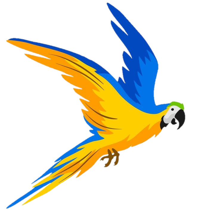 Flying Parrot Png vector