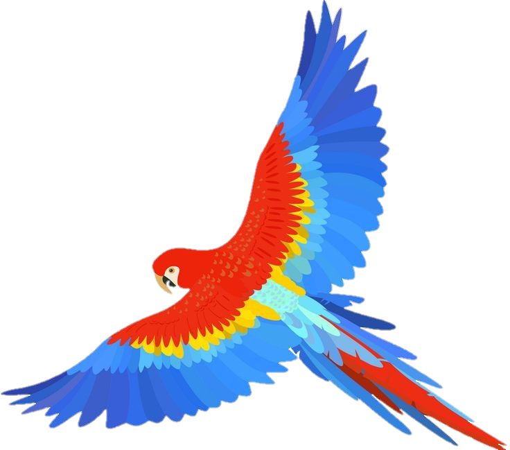 parrot-png-image-pngfre-35