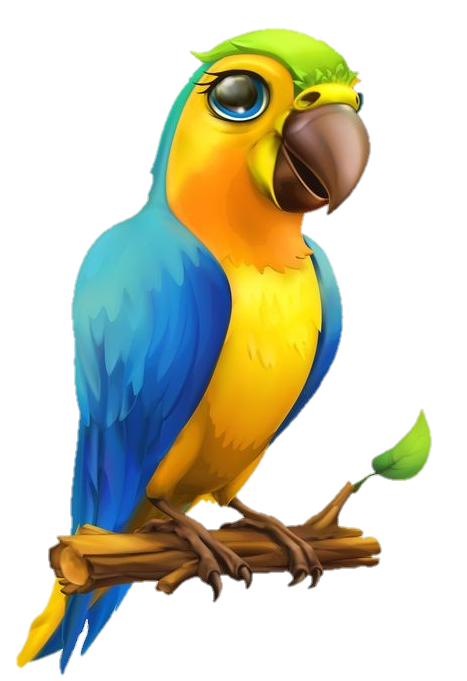 Cute Parrot Png vector