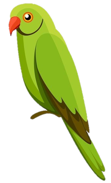 Green Parrot Png Vector
