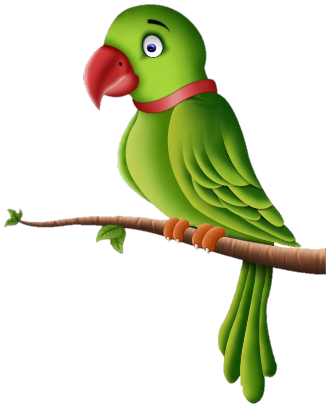 Parrot Png Vector Image