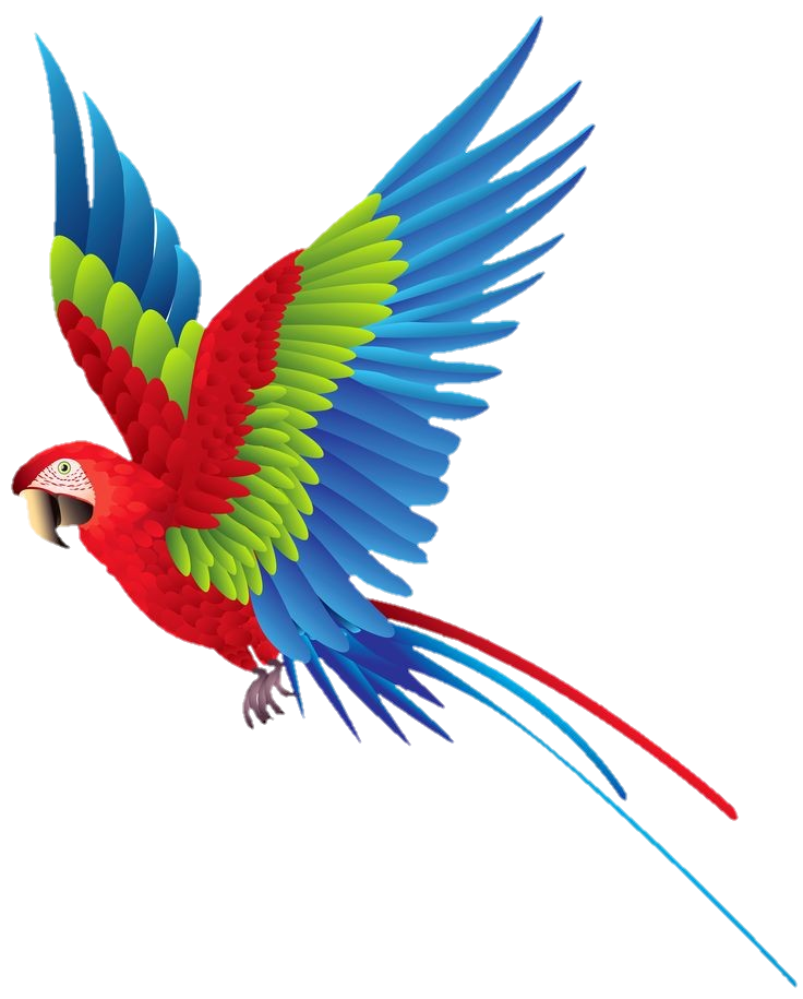 Flying Parrot Png vector