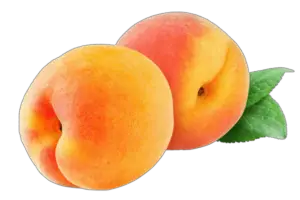 Orange Peach Png