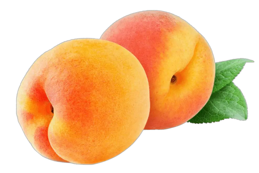 peach-10