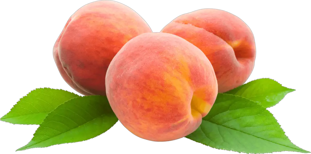 Fresh Peach Png