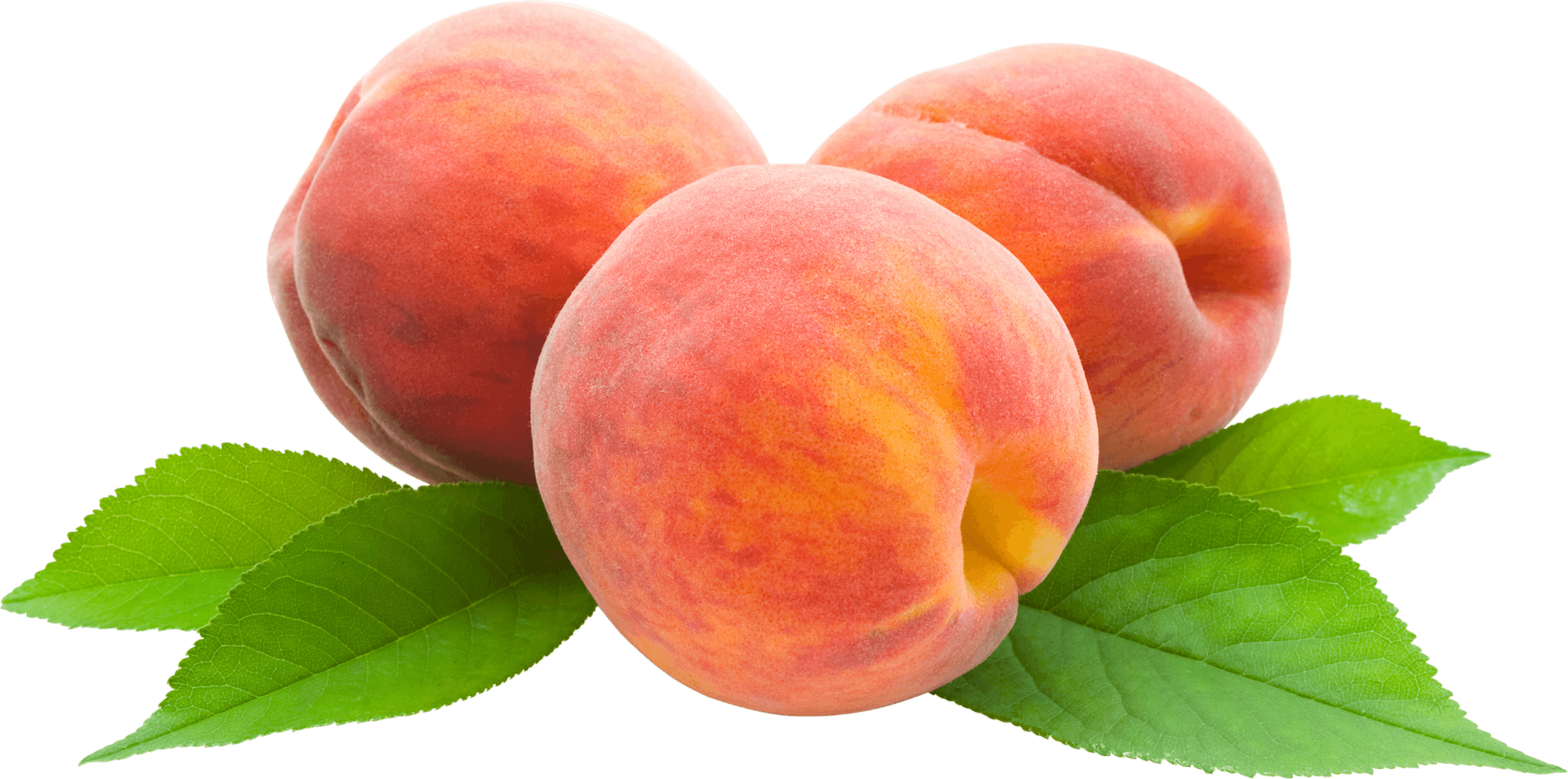 peach-17