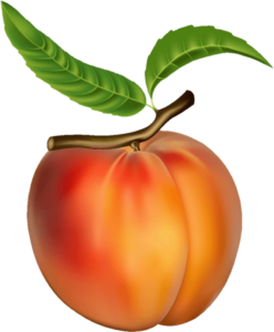 Peach fruit Png Vector with Transparent Background