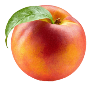 Hd Peach fruit Png with Transparent Background