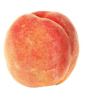 Single Peach fruit Png with Transparent Background
