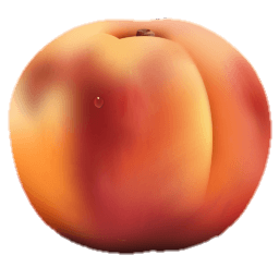 Peach Png Vector 