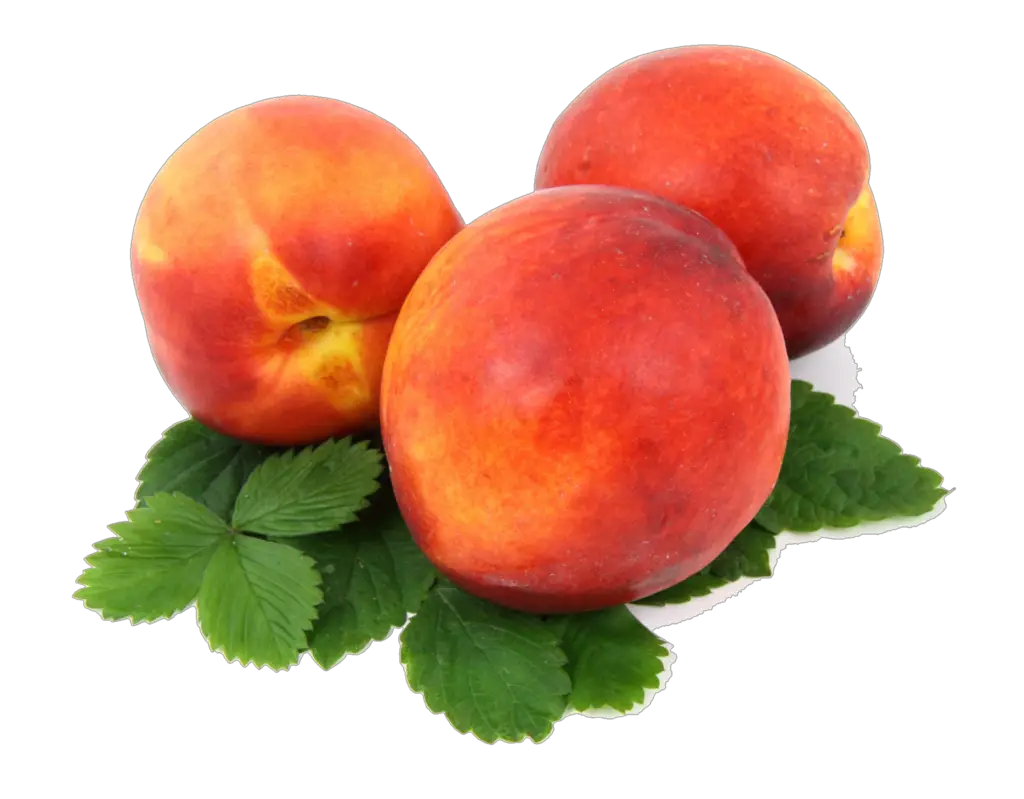 Transparent Peach Png