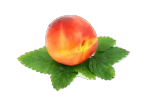 Transparent Peach Png