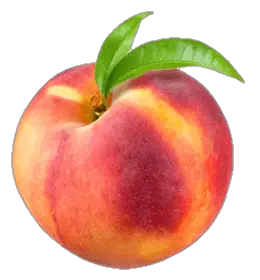 peach-7