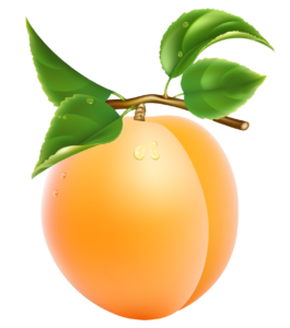 Peach Png Clipart Image