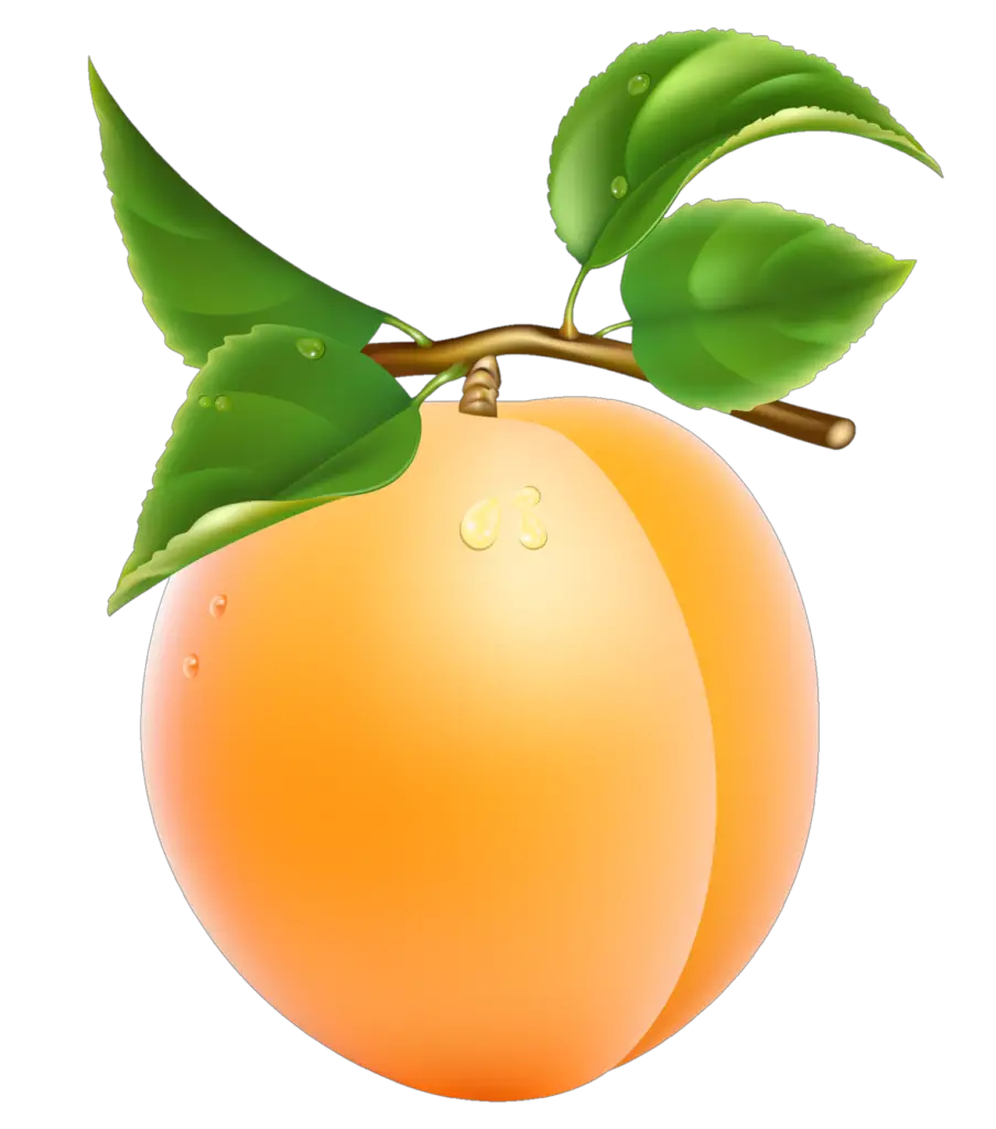 fruit png clipart