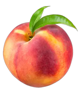 Peach PNG Images Free Download - Pngfre