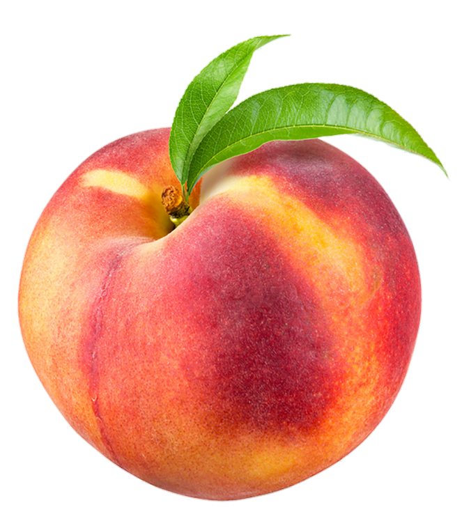 peach-png-image-from-pngfre-36