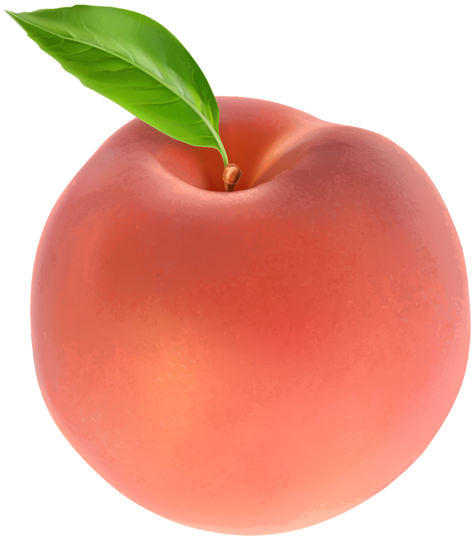 peach-png-image-from-pngfre-37