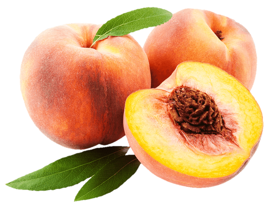 peach-png-image-from-pngfre-38