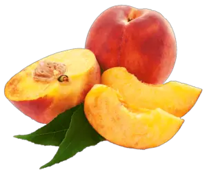 Sliced Peach Png Image