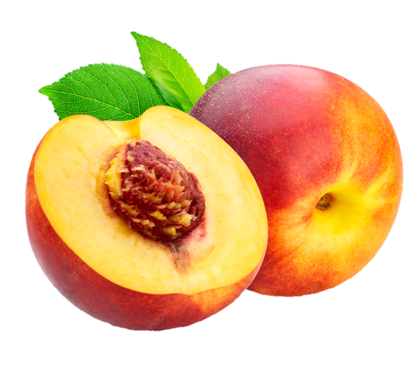 peach-png-image-from-pngfre-40
