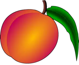 Peach Png Clipart