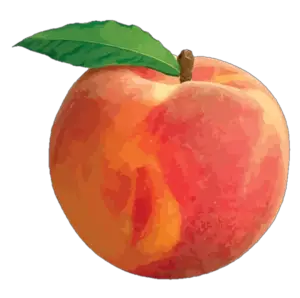 Peach Png Painting 