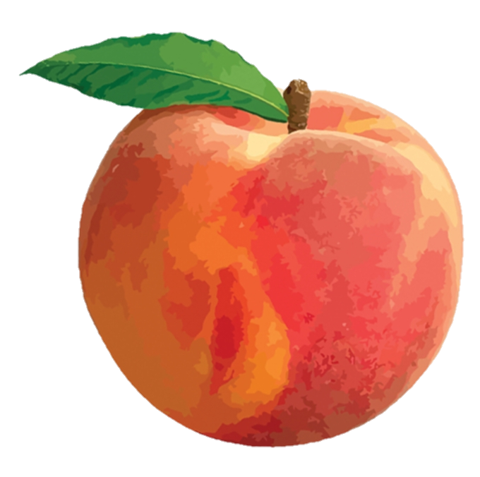 peach-png-image-from-pngfre-42