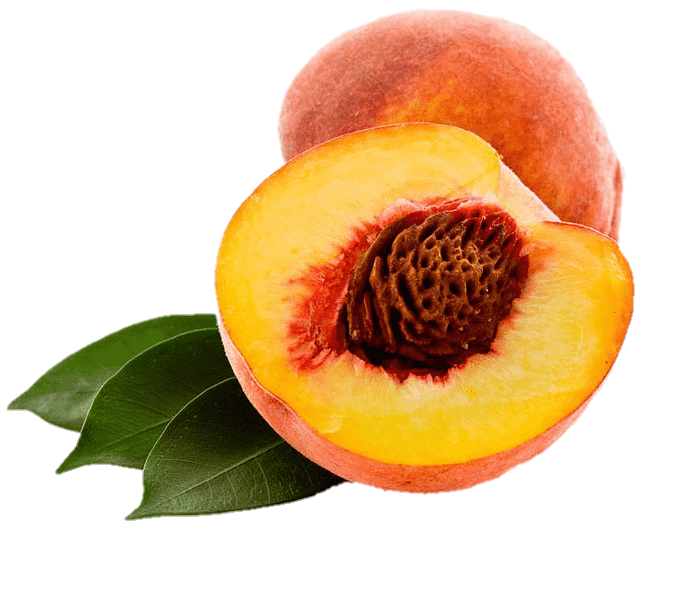 peach-png-image-from-pngfre-43