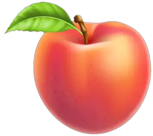 Peach Png Clipart