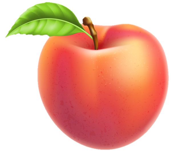 peach-png-image-from-pngfre-44