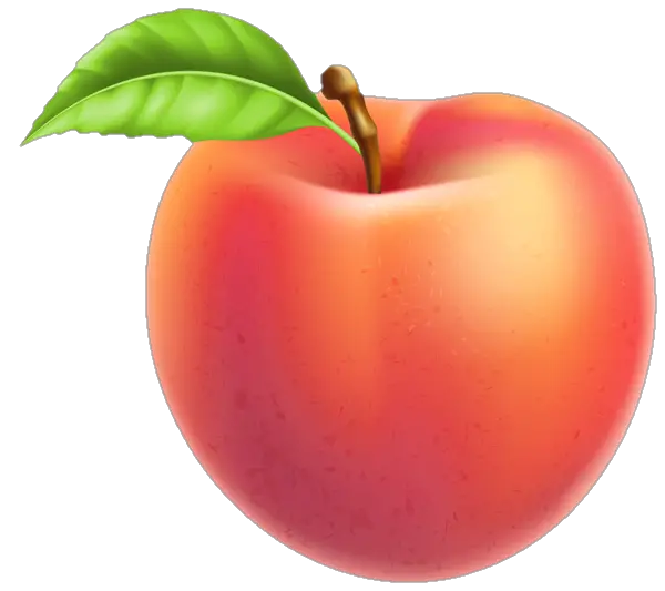 peach-png-image-from-pngfre-44