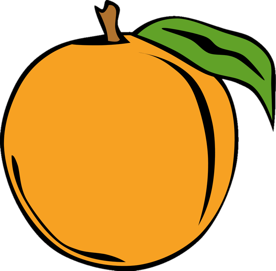 peach-png-image-from-pngfre-45