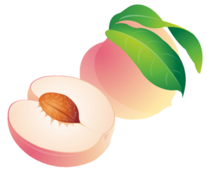 Peach Png vector Image