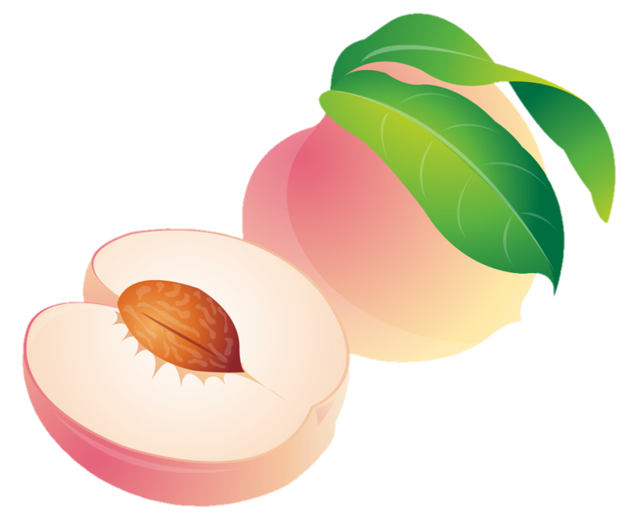 peach-png-image-from-pngfre-46