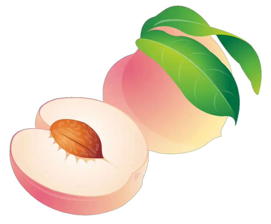 peach-png-image-from-pngfre-46