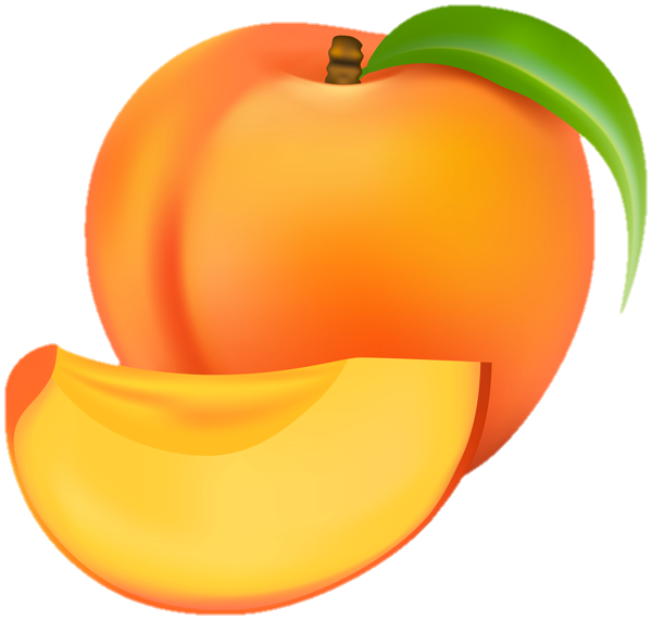 peach-png-image-from-pngfre-47