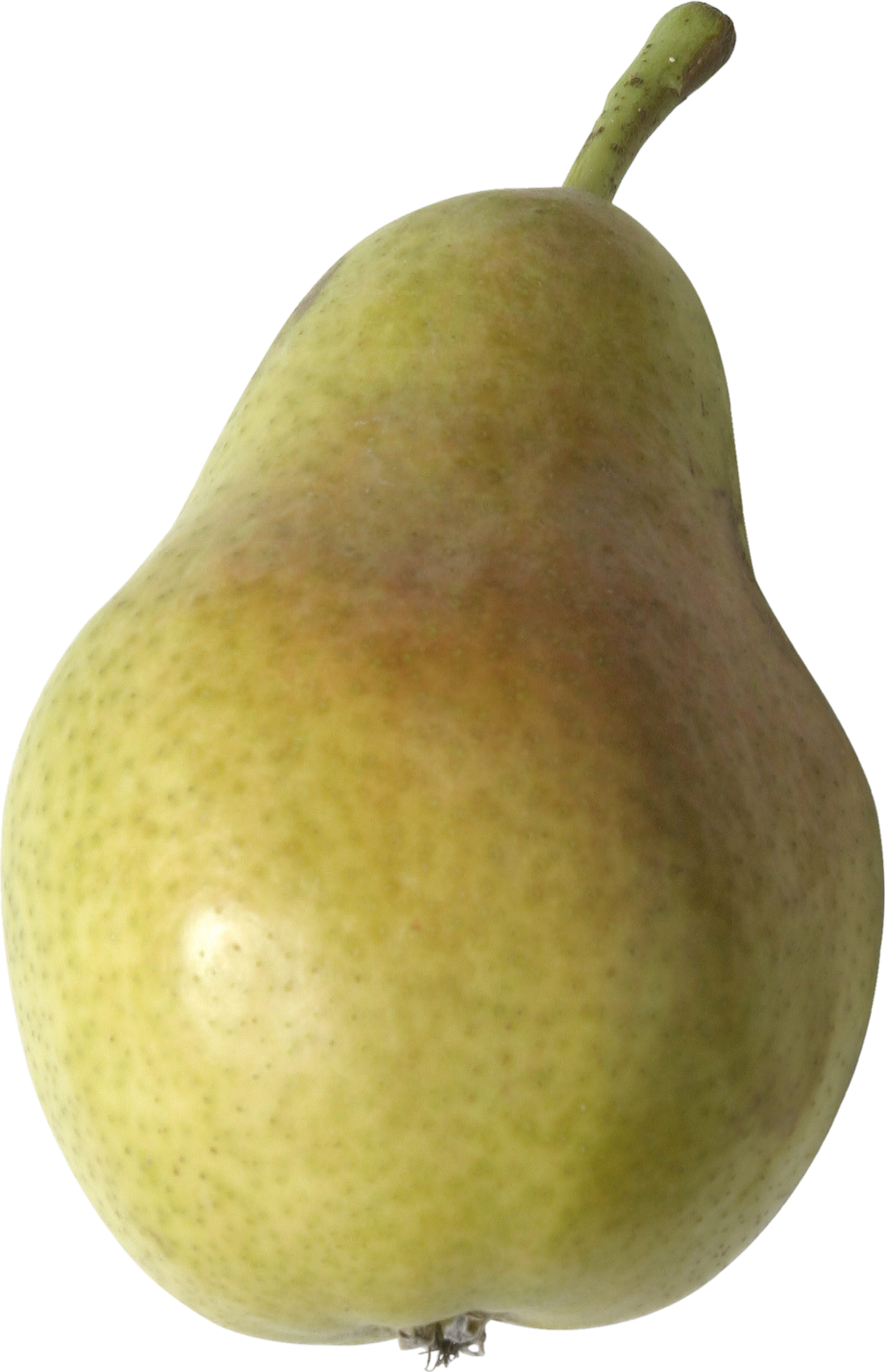 pear-1-1