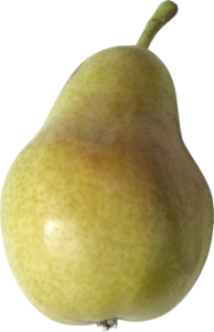 pear-1