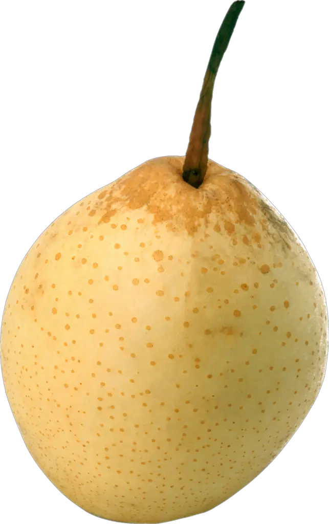 Crown Pear Png