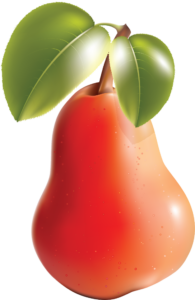pear-14-2