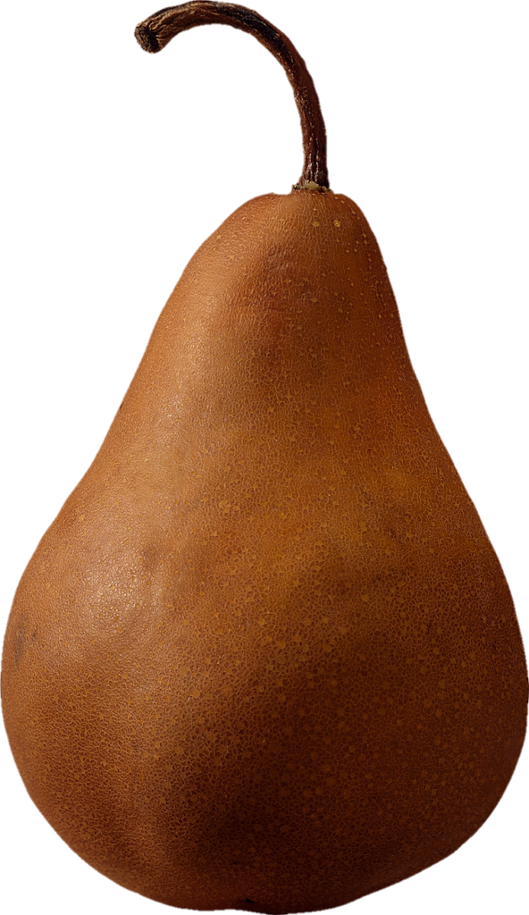 Brown Pear Png