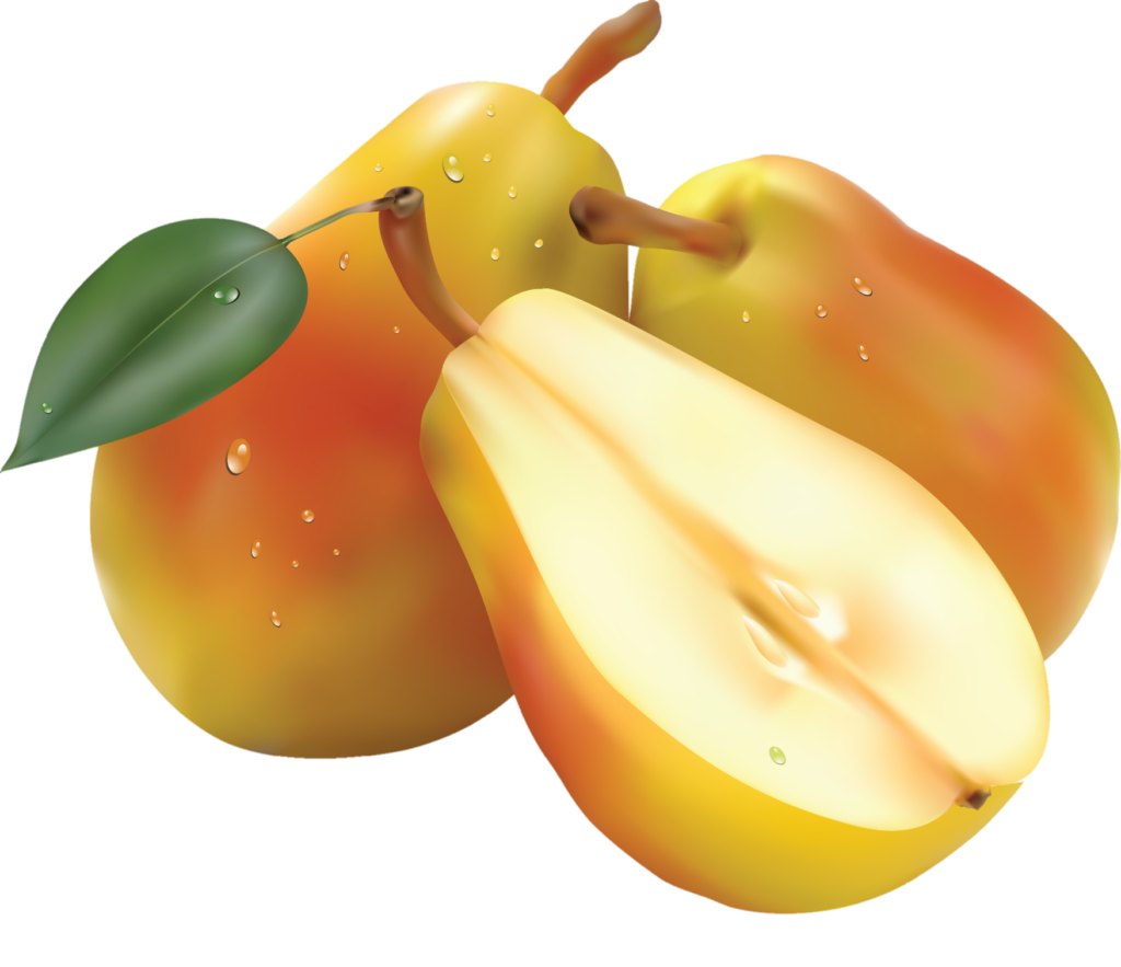 Pear Png Vectors 
