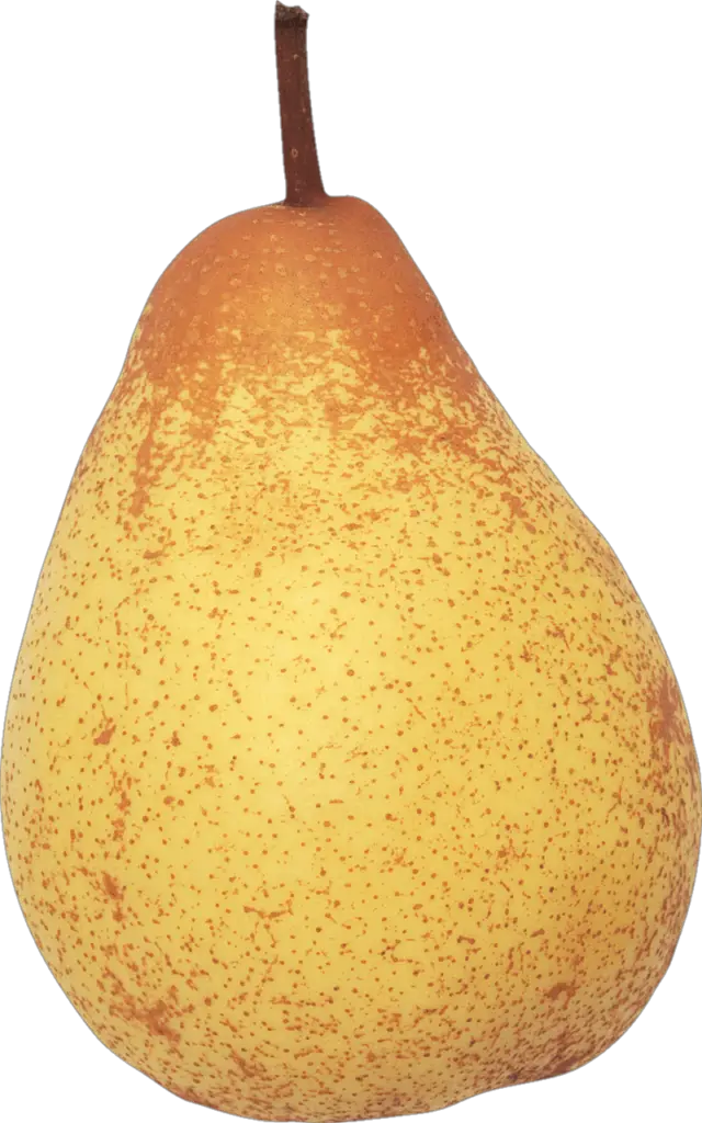 Pear Png