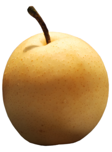 pear-22-1