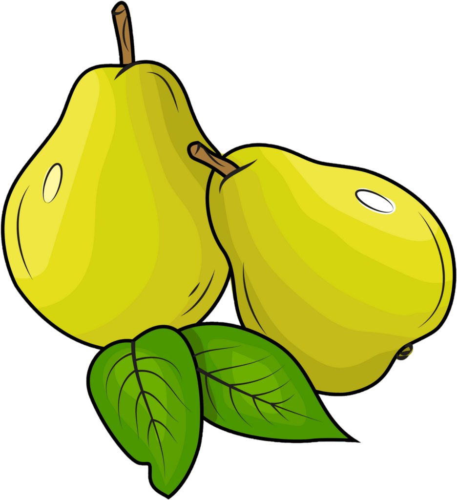 Pear Png Carton 