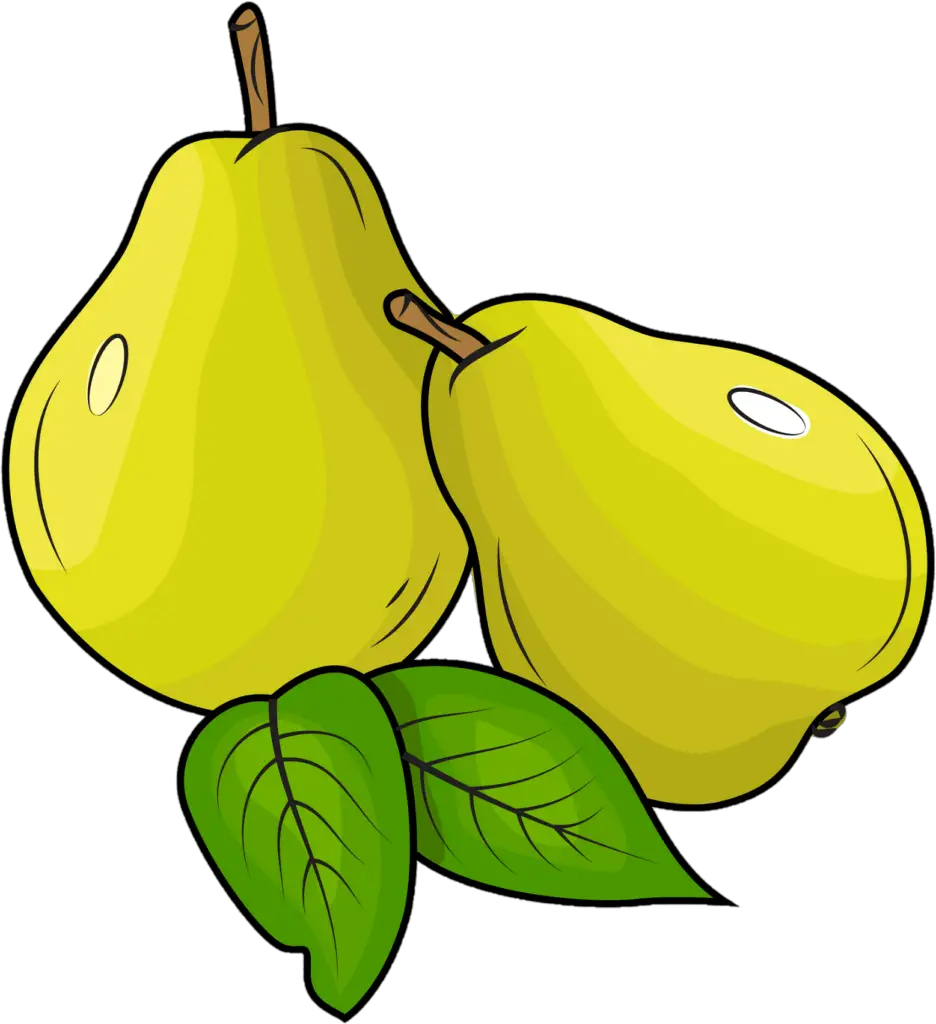 Pear Png Carton 